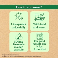 ORGANIC INDIA Turmeric - Organic - 60Capsule