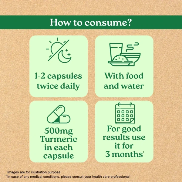 ORGANIC INDIA Turmeric - Organic - 60Capsule