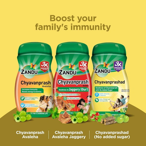 ZANDU PHARMACEUTICAL Chyavanprashad Sugar Free - Zandu  - 900Gm