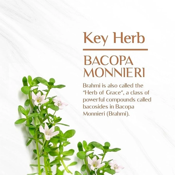 MAHARISHI AYURVEDA  Brahmi Tablet - Maharishi - 60Tablets