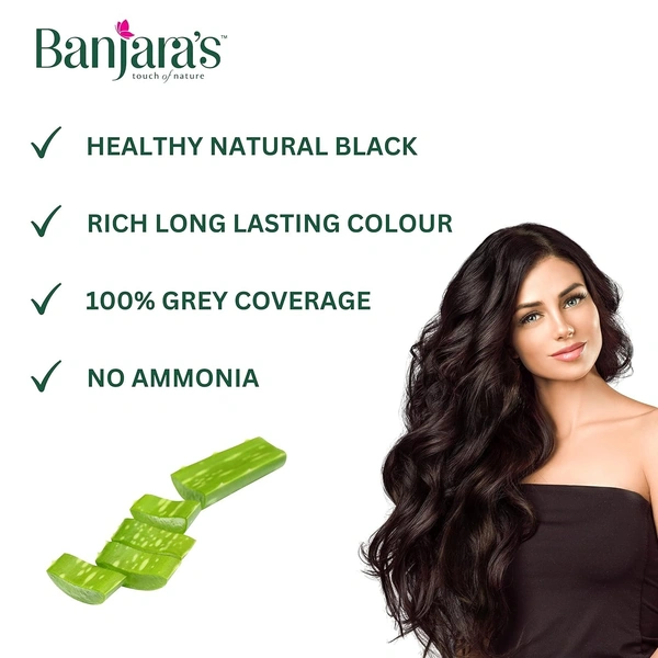 BANJARA'S Black Henna With Alovera Powder - Banjara - 20gm