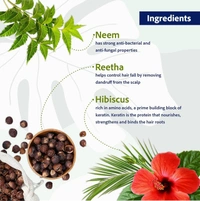 SRI SRI AYURVEDA Anti Dandruff Shampoo  - Sri Sri - 200Ml