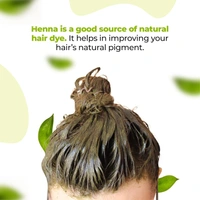 V CARE HERBAL CONCEPTS Henna Powder - V Care - 100Gm