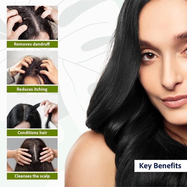 SRI SRI AYURVEDA Anti Dandruff Shampoo  - Sri Sri - 200Ml