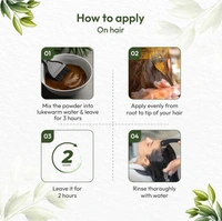 V CARE HERBAL CONCEPTS Henna Powder - V Care - 100Gm