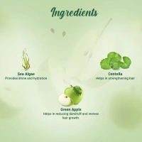 BIOTIQUE Green Apple Shampoo - Biotique - 120ml