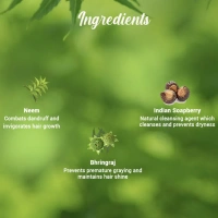 BIOTIQUE Neem Shampoo & Conditioner - Biotique - 650ml