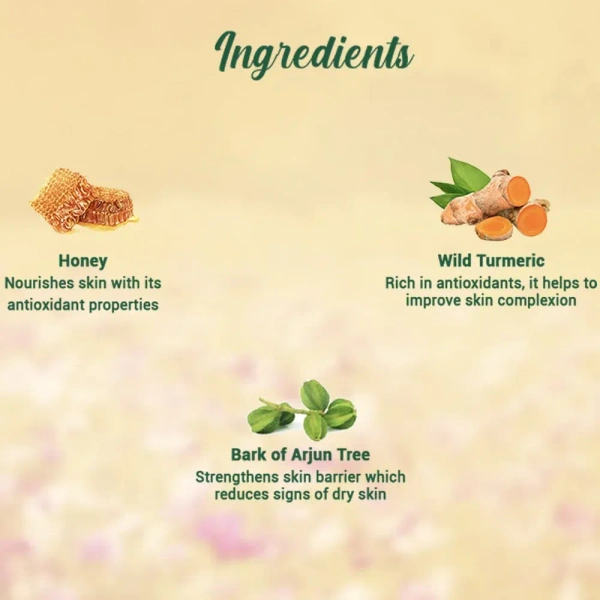 BIOTIQUE Honey Gel Face Wash  - Biotique - 150ml