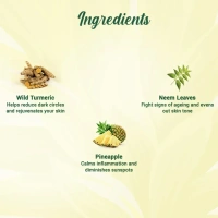 BIOTIQUE Pineapple Face Wash - Biotique - 150ml