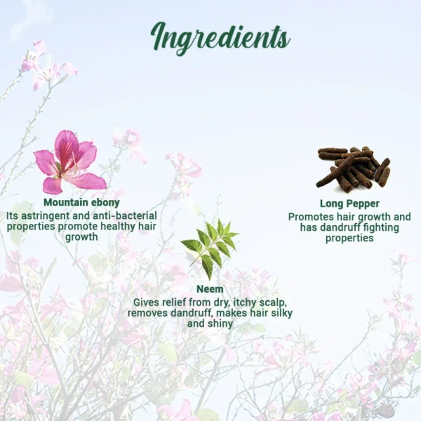 BIOTIQUE Mountain Ebony Hair Serum - Biotique - 120ml