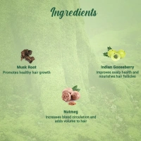 BIOTIQUE Musk Root Hair Pack - Biotique - 230ml