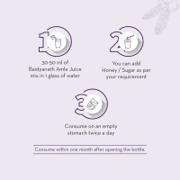 BAIDYANATH  Amla Juice - Baidyanath - 1L