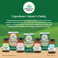 ORGANIC INDIA Breath Free Capsule - Organic - 60Capsule