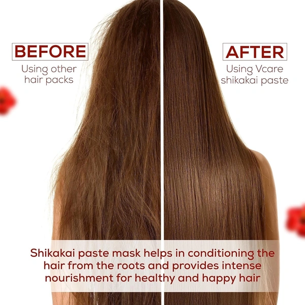 V CARE HERBAL CONCEPTS Shikkai Paste - V Care - 75Gm