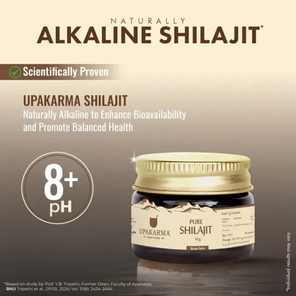 MANKIND PHARMA Pure Shilajit Resin Form - Upkarma - 30g