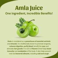 SRI SRI AYURVEDA Amla Juice - Sri Sri - 1L