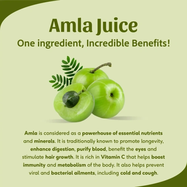 SRI SRI AYURVEDA Amla Juice - Sri Sri - 1L