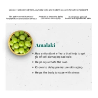 HIMALAYA DRUGS Amalaki Tablet - Himalaya - 60Tablet