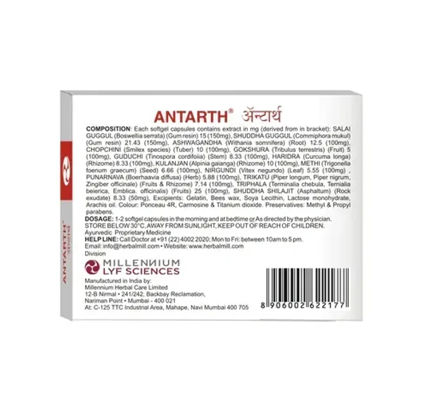 MILLENNIUM HERBALS Antarth Sg - Millennium - 10Capsules
