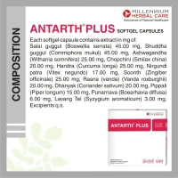 MILLENIUM HERBALS Antarth Plus Sg Capsule - Millennium - 10Capsules