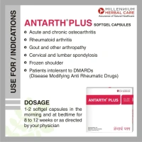 MILLENIUM HERBALS Antarth Plus Sg Capsule - Millennium - 10Capsules