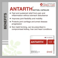 MILLENNIUM HERBALS Antarth Sg - Millennium - 10Capsules