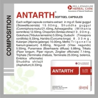 MILLENNIUM HERBALS Antarth Sg - Millennium - 10Capsules