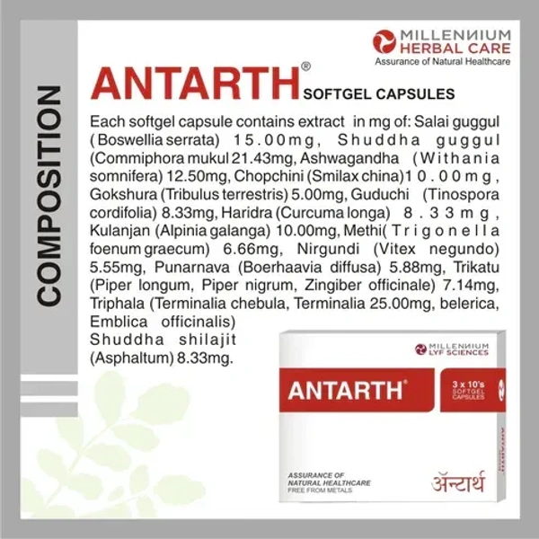MILLENNIUM HERBALS Antarth Sg - Millennium - 10Capsules