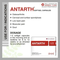 MILLENNIUM HERBALS Antarth Sg - Millennium - 10Capsules