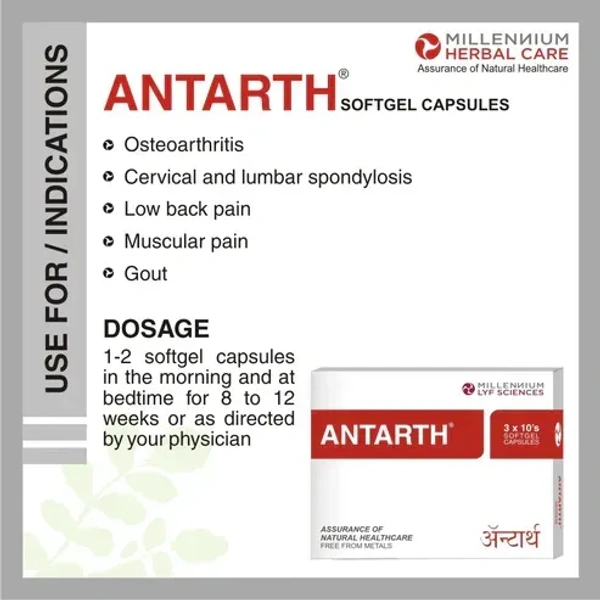 MILLENNIUM HERBALS Antarth Sg - Millennium - 10Capsules