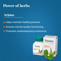 HIMALAYA DRUGS Arjuna Tablet - Himalaya - 60Tablet