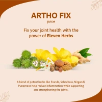SRI SRI AYURVEDA Artho Fix Juice - Sri Sri - 1L
