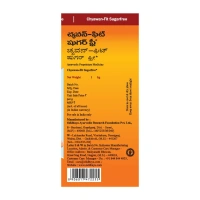 BAIDYANATH Chyawan-Fit Sugarfree - Baidyanath - 500G