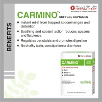 MILLENIUM HERBALS Carmino Capsule - Millennium - 10Capsules