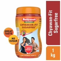 BAIDYANATH Chyawan-Fit Sugarfree - Baidyanath - 500G