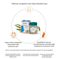 HIMALAYA DRUGS Cold Balm - Himalaya - 10g