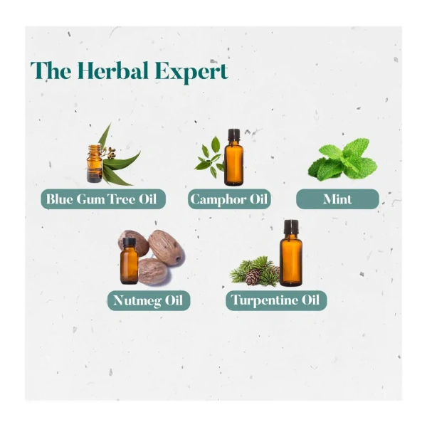 HIMALAYA DRUGS Cold Balm - Himalaya - 10g