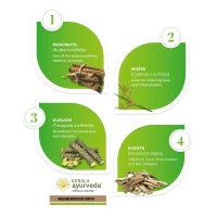 Kerala Ayurveda Maha Manjishtadi Kwatha - Kerala  - 200ml