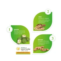 Kerala Ayurveda Gandharvahastadi Castor Oil  - Kerala  - 100ml