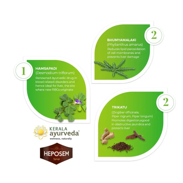 Kerala Ayurveda Heposem Syrup - Kerala  - 200ml