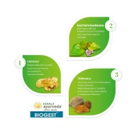 Kerala Ayurveda Biogest Tablet - Kerala - 100Tablets