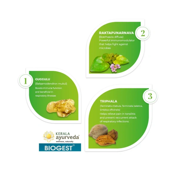 Kerala Ayurveda Biogest Tablet - Kerala - 100Tablets