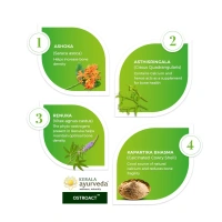 Kerala Ayurveda Ostoact Tablet - Kerala - 100Tablets