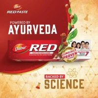 DABUR INDIA LIMITED Dabur Red Tooth Paste  - 300gm