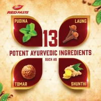 DABUR INDIA LIMITED Dabur Red Tooth Paste  - 300gm