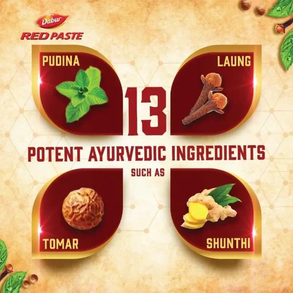 DABUR INDIA LIMITED Dabur Red Tooth Paste  - 300gm