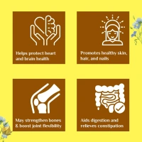 ORGANIC INDIA Flaxseed Oil Capsule - Organic - 60Capsule