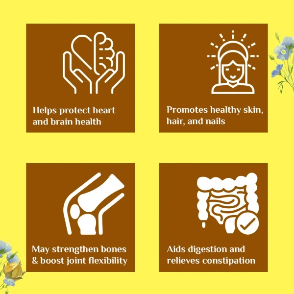 ORGANIC INDIA Flaxseed Oil Capsule - Organic - 60Capsule