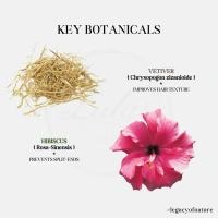 LALA DAWASAZ PVT LTD Hibiscus Shampoo - Lalas - 250Ml