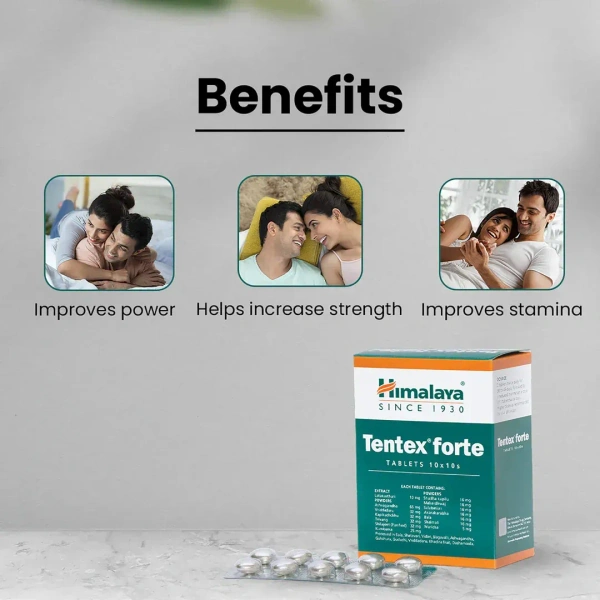 HIMALAYA DRUGS Tentex Forte Tablet - Himalaya - 10Tablet
